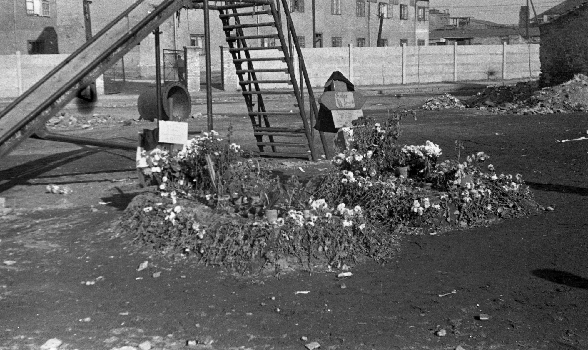 Néhány hétig temető volt a város – A forradalom ideiglenes sírjai az '56-os utcákon 16