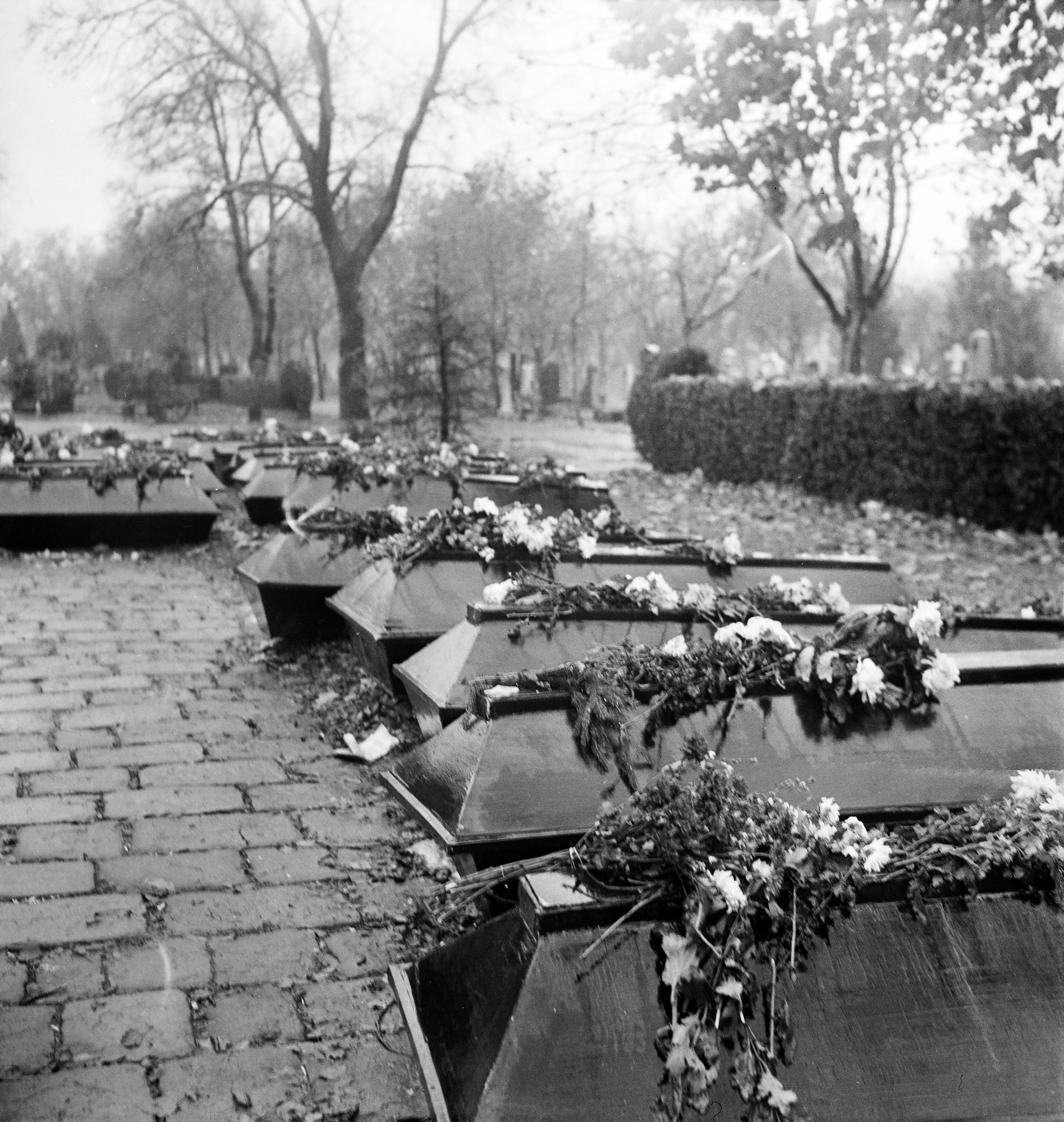 Néhány hétig temető volt a város – A forradalom ideiglenes sírjai az '56-os utcákon 27