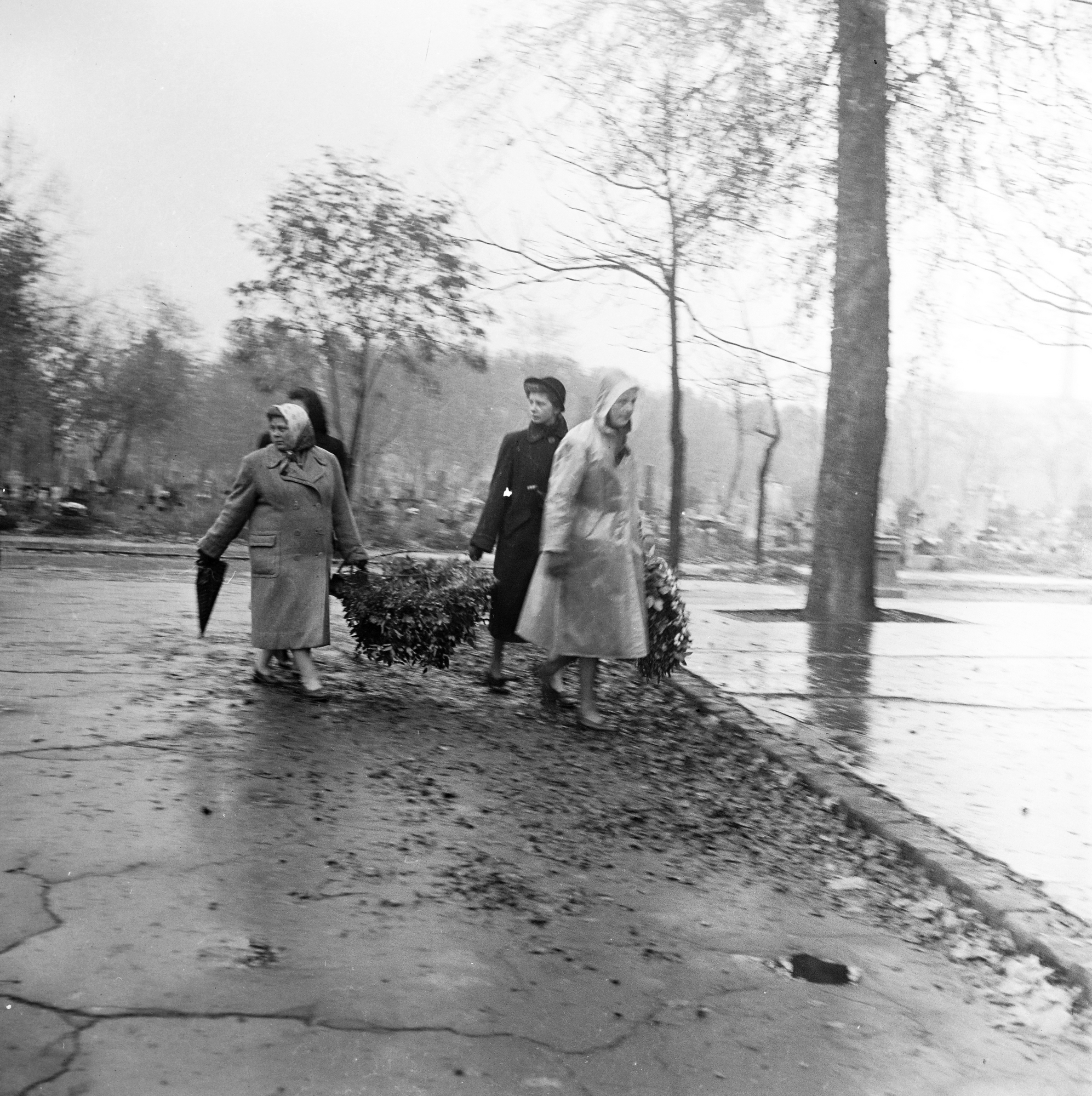 Néhány hétig temető volt a város – A forradalom ideiglenes sírjai az '56-os utcákon 26