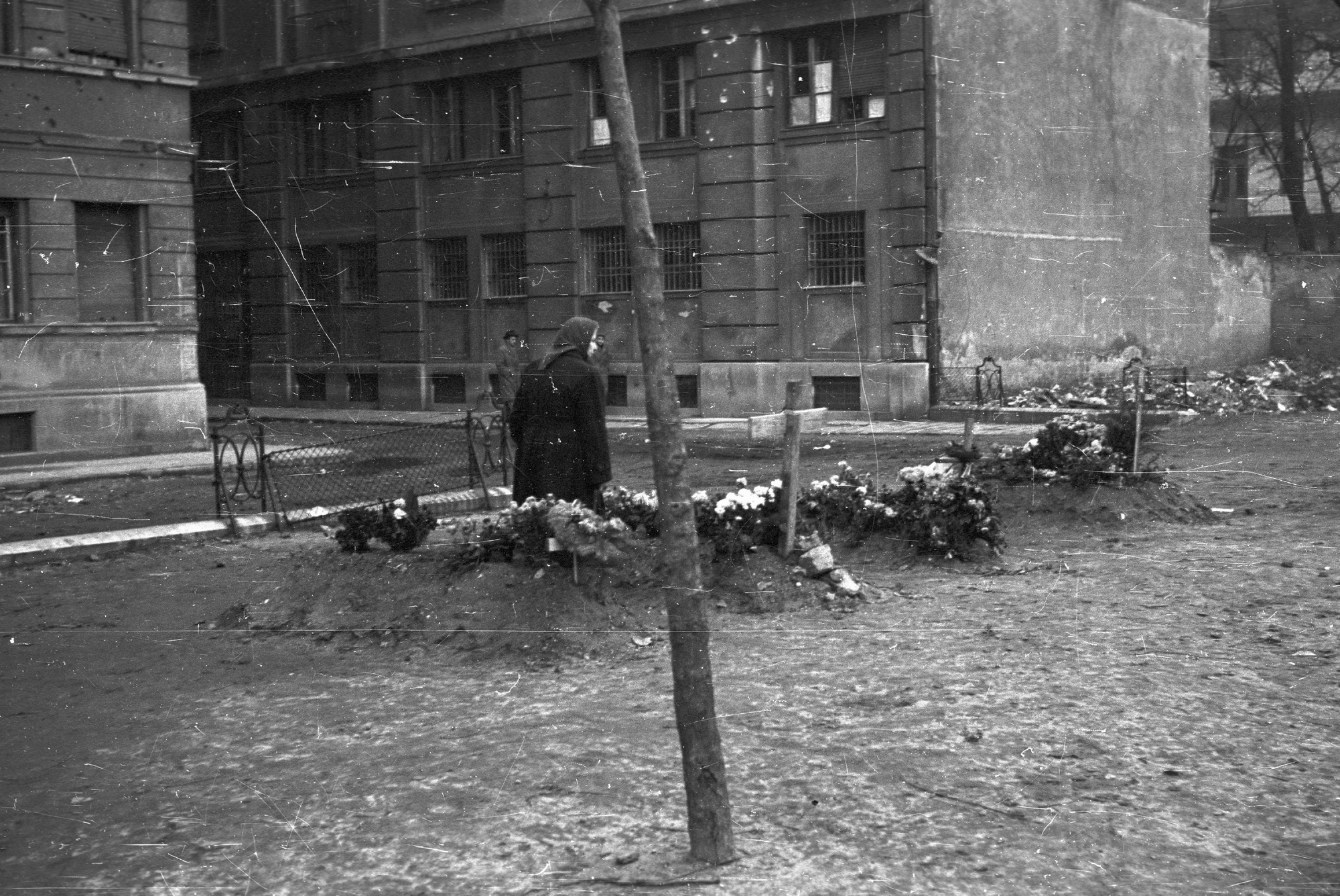 Néhány hétig temető volt a város – A forradalom ideiglenes sírjai az '56-os utcákon 15