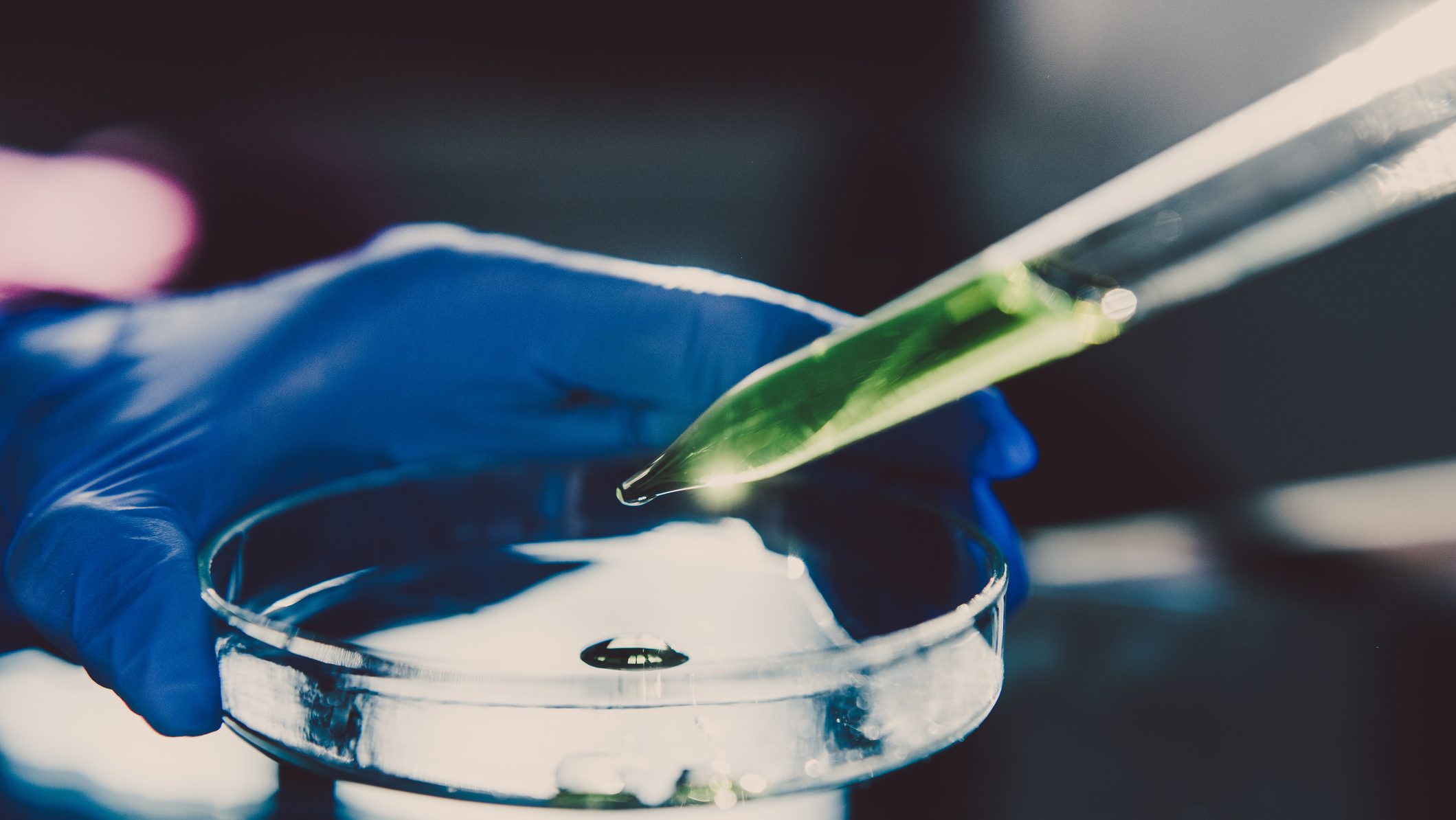 Pipette adding a solution during an experiment in the laboratory.