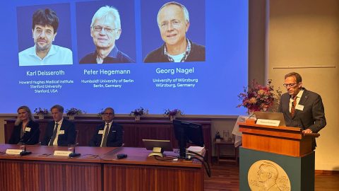 Thomas Perlmann bejelenti a 2026-os fiziológiai és orvostudományi Nobel-díj nyerteseit.