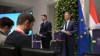 Magyar Péter; Vitézy Dávid