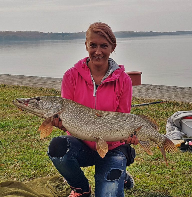 Jól harapnak a Tisza-tó csúcsragadozói 1