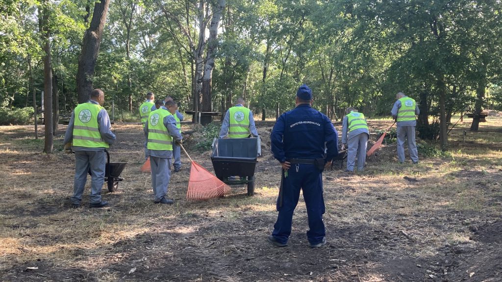 Elítéltek takarítottak a Szegedi Vadasparkban