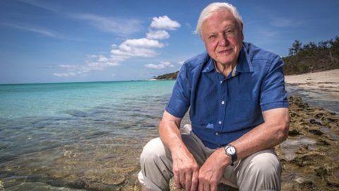 98 éves a Föld bajnoka, Sir David Attenborough