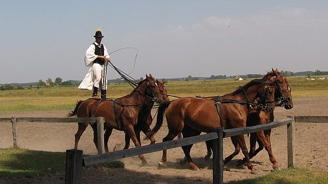 Megépült a puszta új szenzációja Bugacon