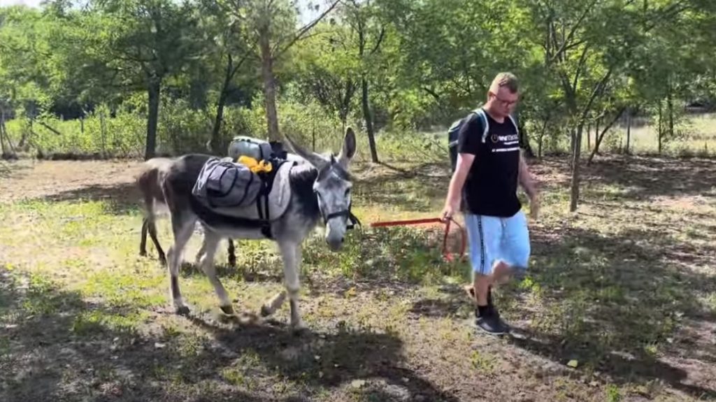 Tüneményes jövevényekkel gyarapodott a szamaras fiú rezervátuma