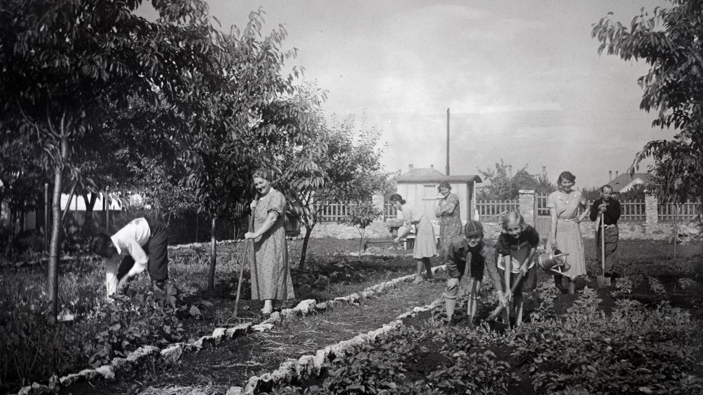 Így kertészkedtünk régen: fekete-fehér időutazás a Fortepannal