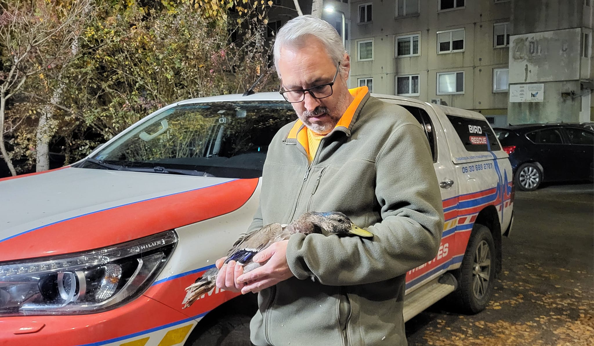 20 ezernél több állatot mentettek meg 12 év alatt Mályiban 3