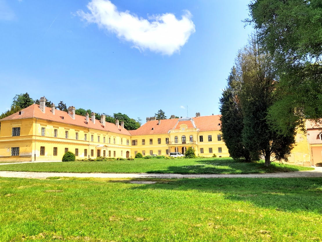 Matuzsálemi korú „ázsiai szépség” a somogyvári kastélypark dísze 4