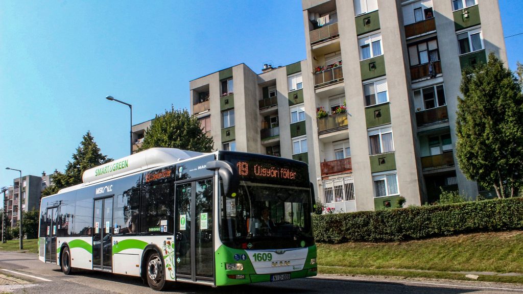 Újabb vidéki városban lesz ingyenes a tömegközlekedés a 14 éven aluliaknak