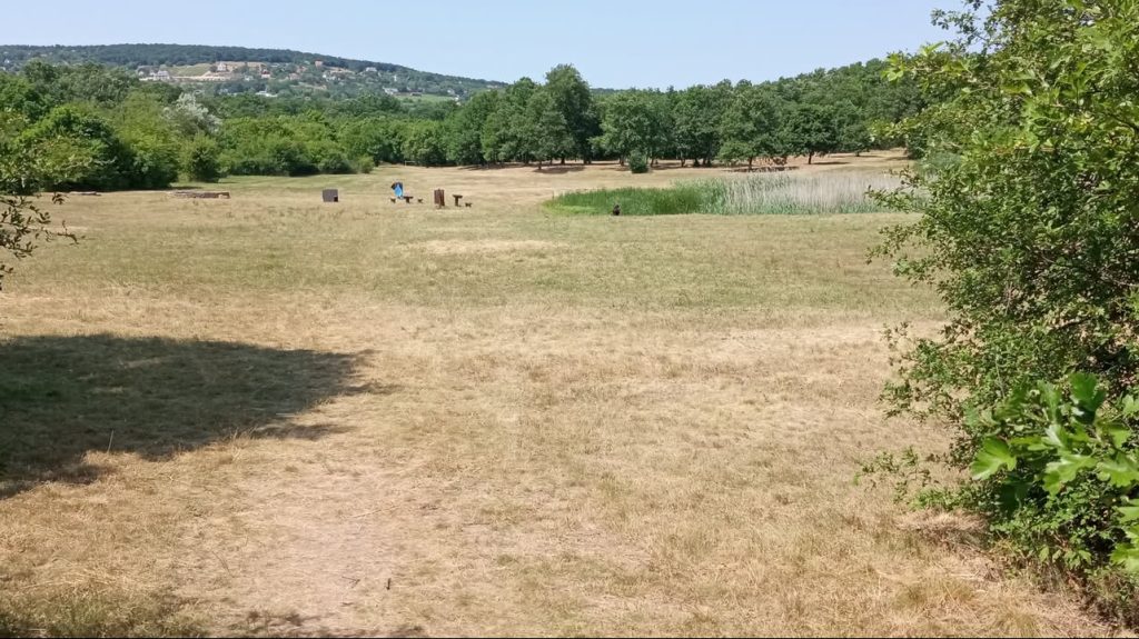 Kiszáradt a Balaton part népszerű tava
