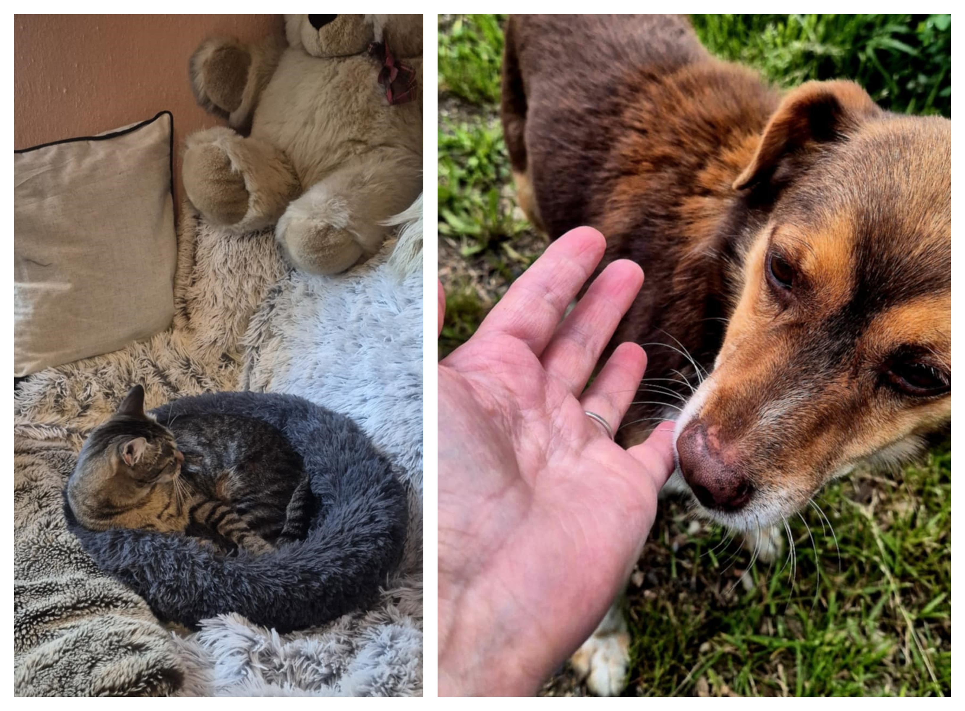 Csodát tesz a nehéz sorsú gyermekekkel az erdélyi óvónő 3