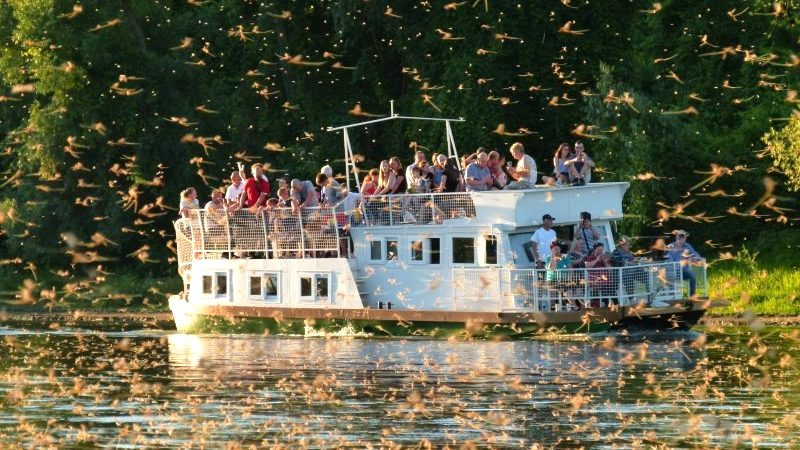 Nagy a készültség a Tiszán, érdeklődők ezrei lesik a folyót