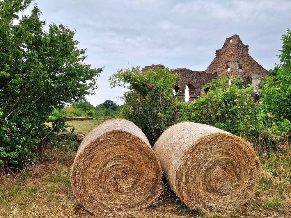 Balaton-felvidéki kirándulásra csábít Ecsérpuszta ősi templomromja 4
