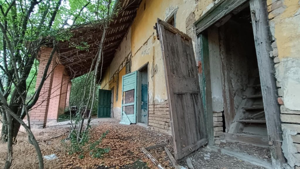 Bozótosban porlad a hajdan élettel teli tanyasi iskola