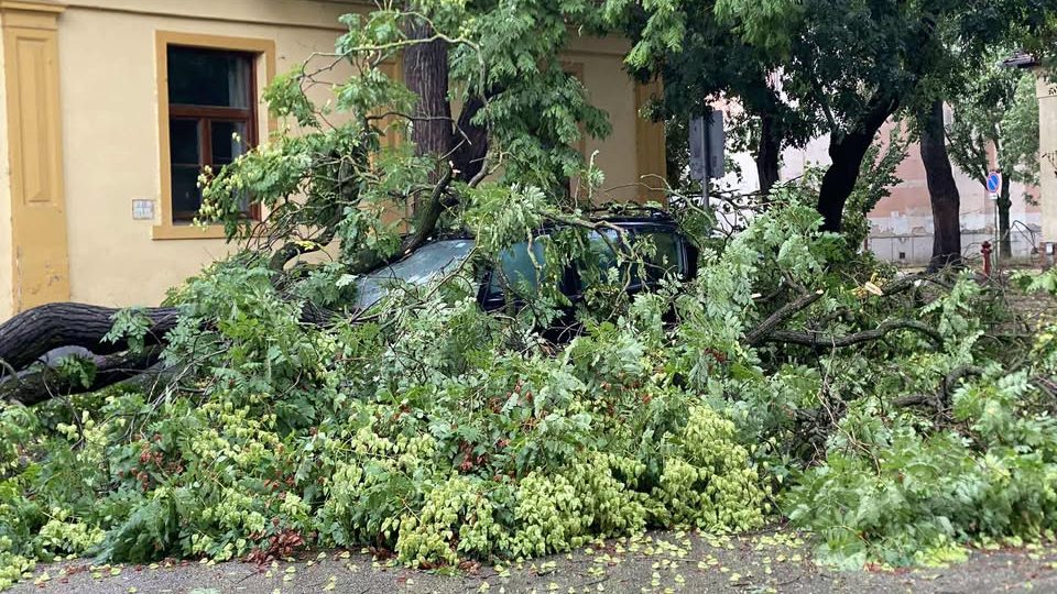 Brutális pusztítást végzett a vihar, rengeteg fát csavart ki a szél a Dunántúlon és Szegednél is