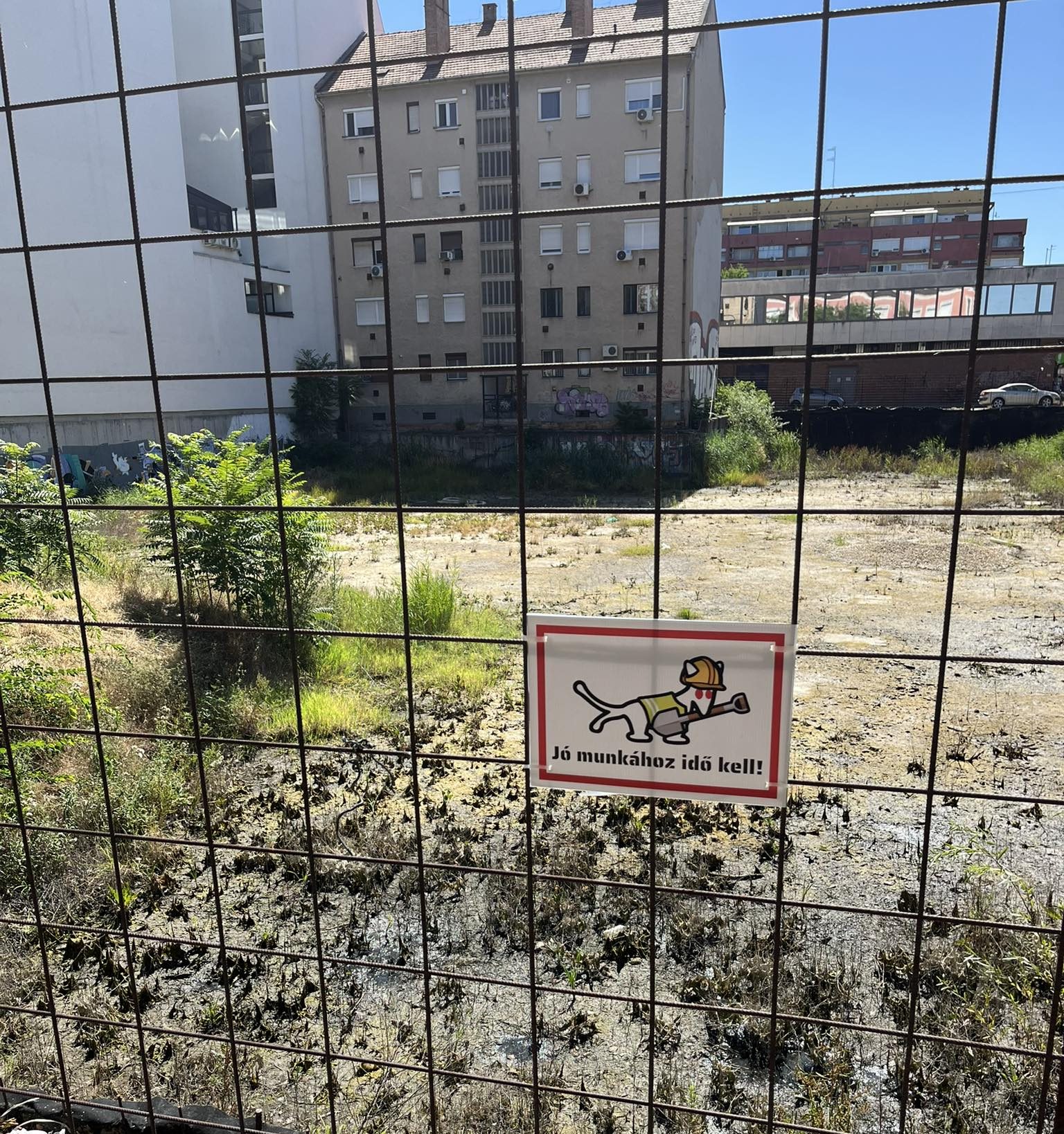Szegedet sem kíméli a klímaváltozás: kiszáradt a város szégyenfoltja 1