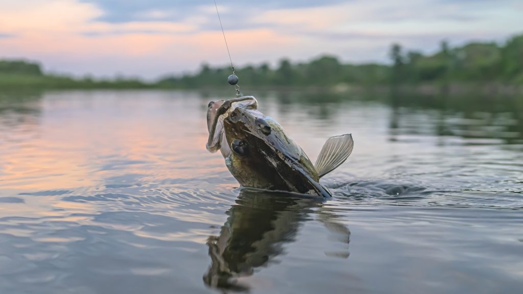 Alig hitte el a horgász, hogy kannibált fogott