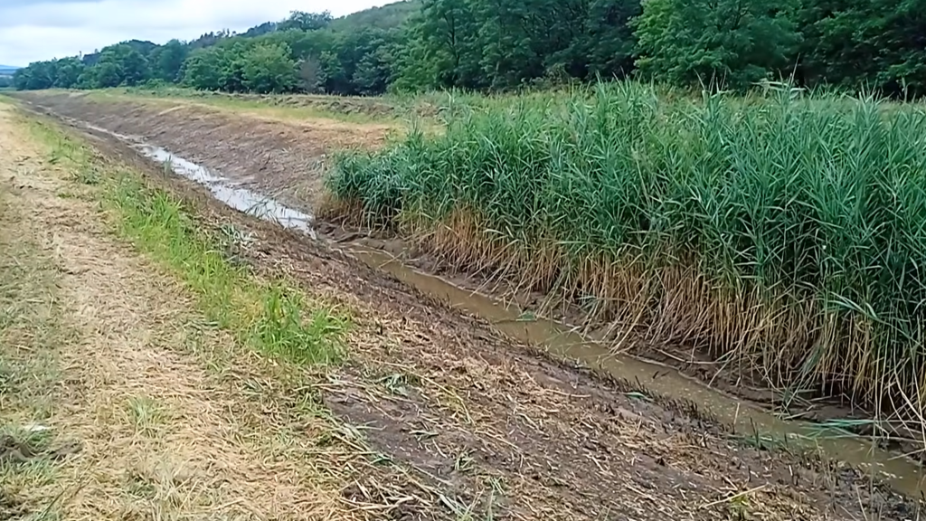 Döbbenetes természetkárosítás a Zagyvánál, magyarázkodik a vízügyi főigazgatóság