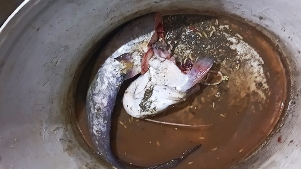Büntetésre számíthat a harcsát kettévágó tiszai horgász