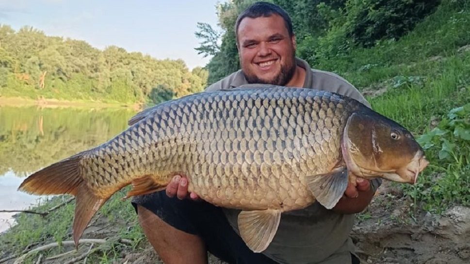 Egy órán belül 3 gigapontyot fogott a tiszai horgász