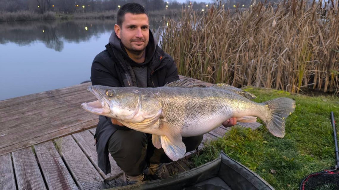 Hatalamas, ezüstérmes süllőt fogtak a Ráckevei-Soroksári Dunán