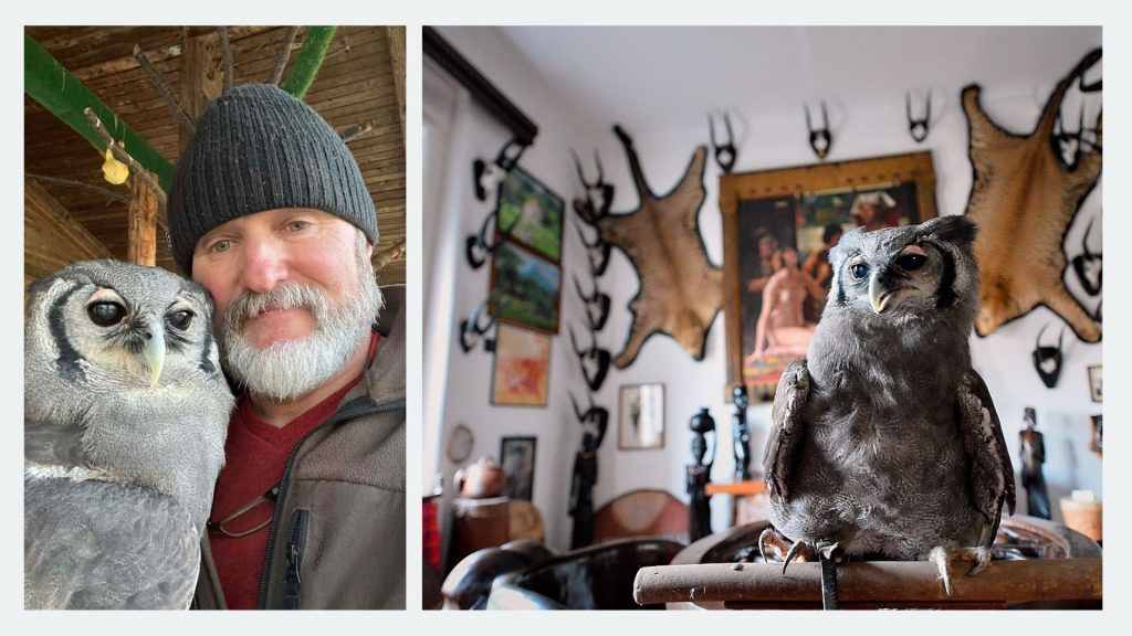 Balatonederics: 35 éve él barátságban gondozójával az 57 éves tejuhu | Sokszínű...