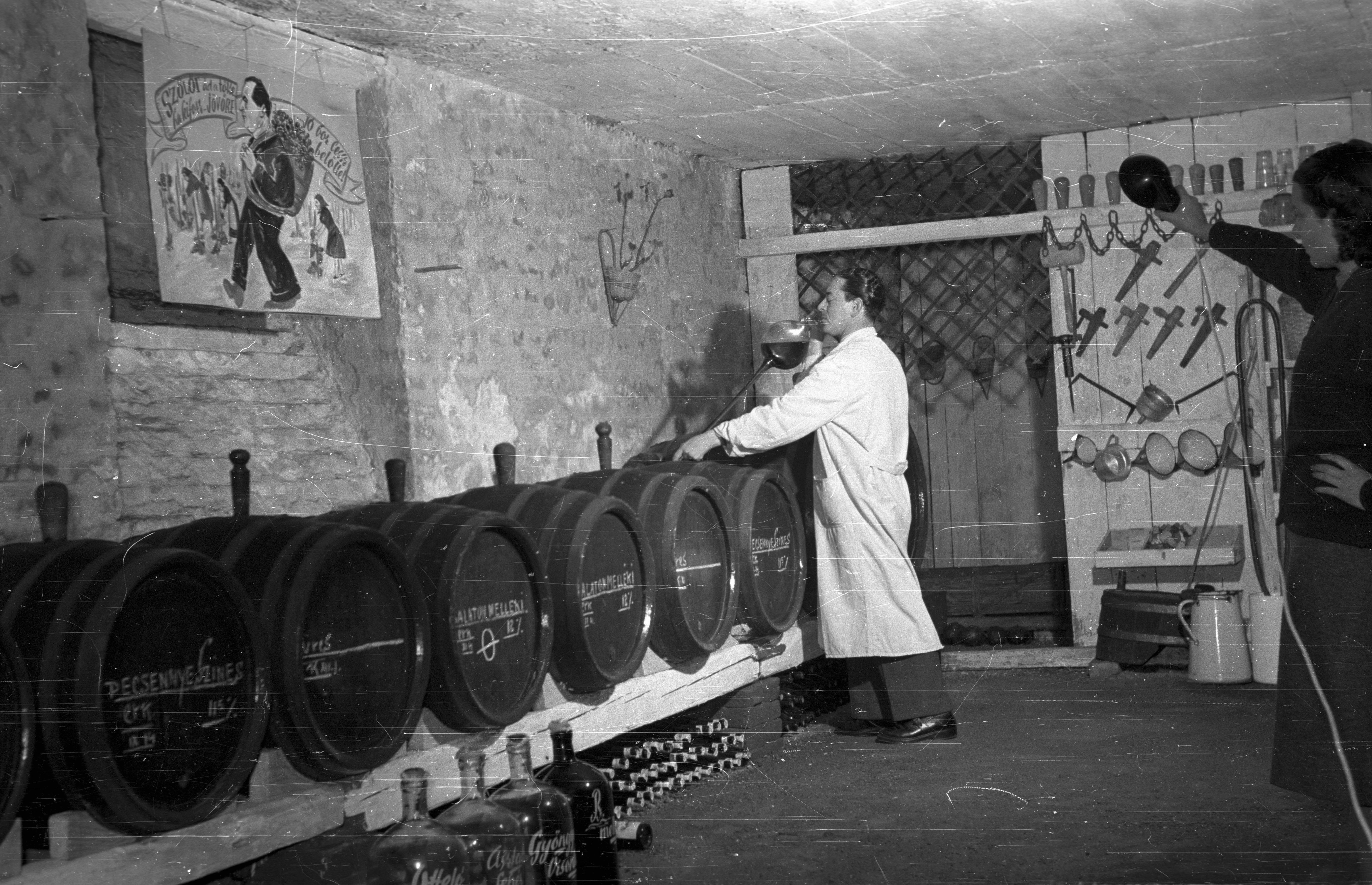 Vince ma rendre tanítja a telet, és megjósolja, milyen lesz az idei bortermés 2