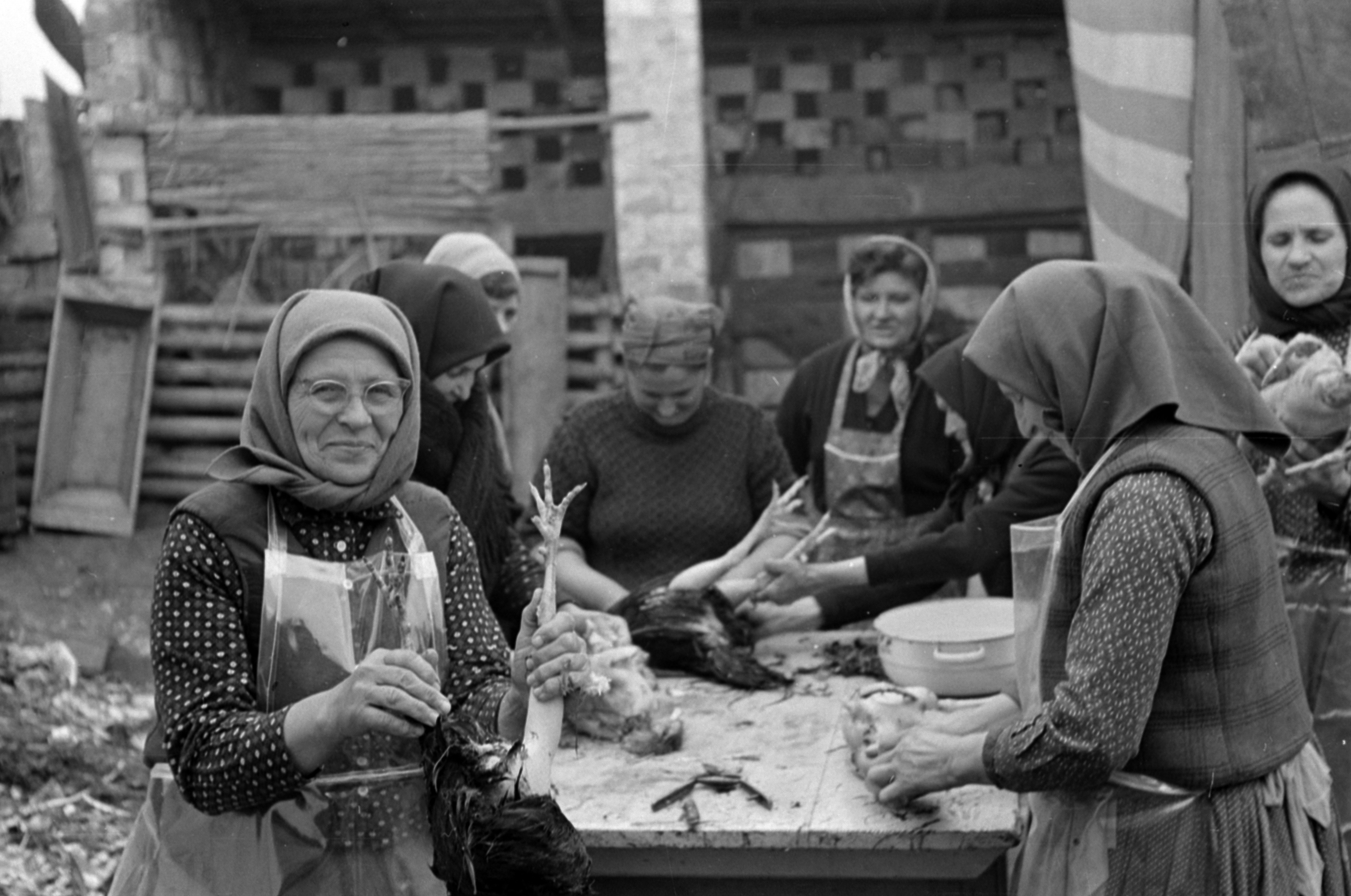 Hajdanában-danában, nagyik és dédik nászában: időutazás a Fortepannal 5