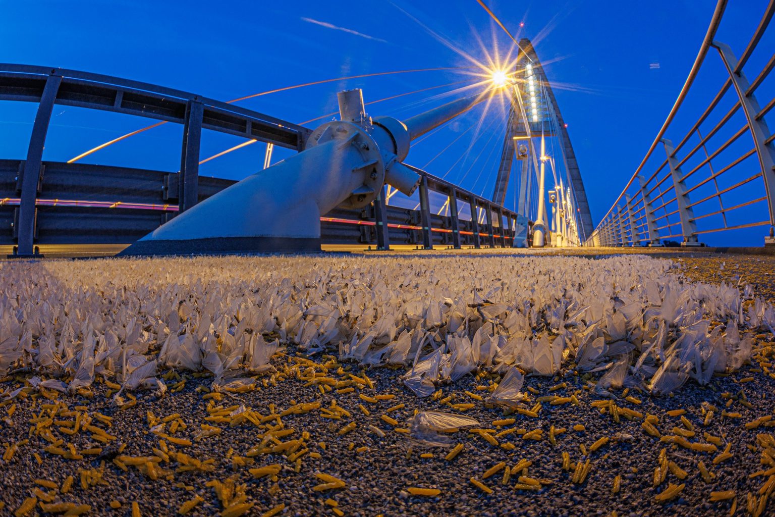 Megmenekülnek a kérészek: fénysorompó kerül a Megyeri hídra 1