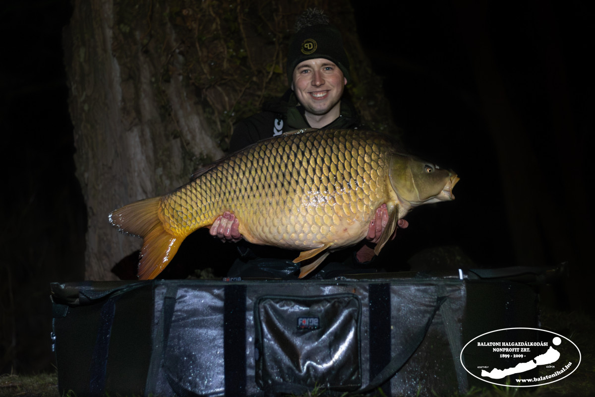 Beindultak a balatoni gigapontyok, két rekordlistás példány akadt horogra 1