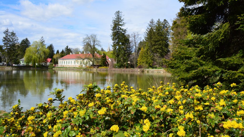 Zirci Ciszterci Arborétum