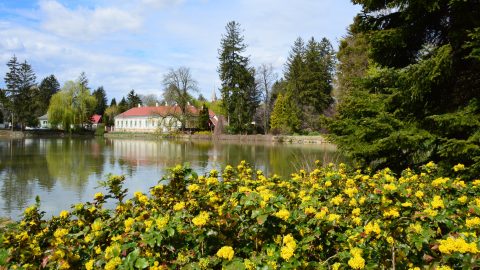 Zirci Ciszterci Arborétum
