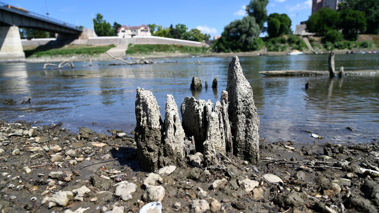 Negatív rekordot döntött a Tisza Szolnoknál: újra előbukkant a török kori híd maradványa 1