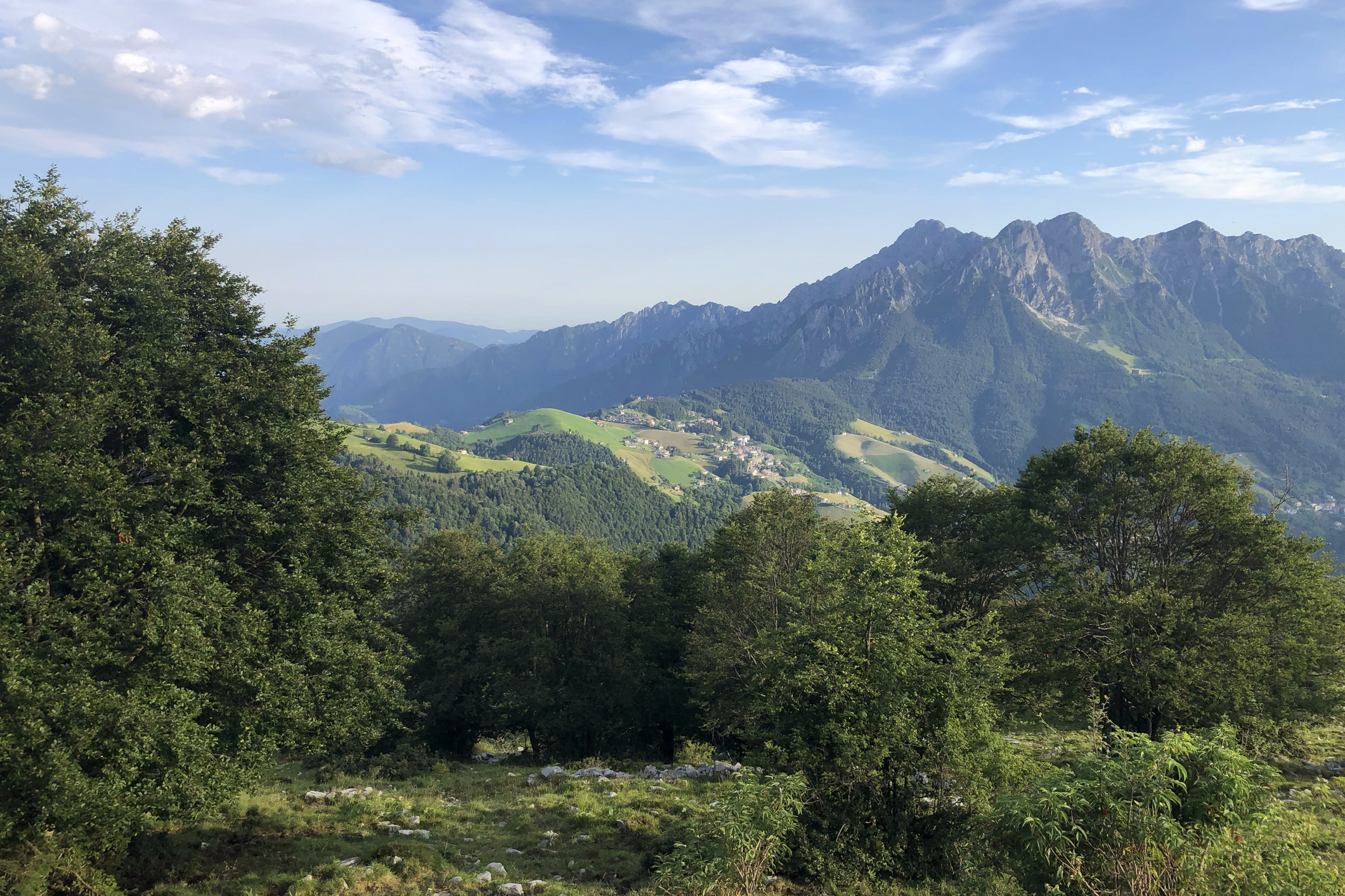 Idegesíti a turistákat egy olasz faluban, hogy kolompolnak a tehenek 1