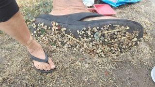 Foot in a black flip-flop resting on dry, leaf-strewn ground; bandage on the ankle.