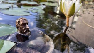 Bronze bust of a bearded man protruding from a pond among lily pads and a blooming white water lily nearby.