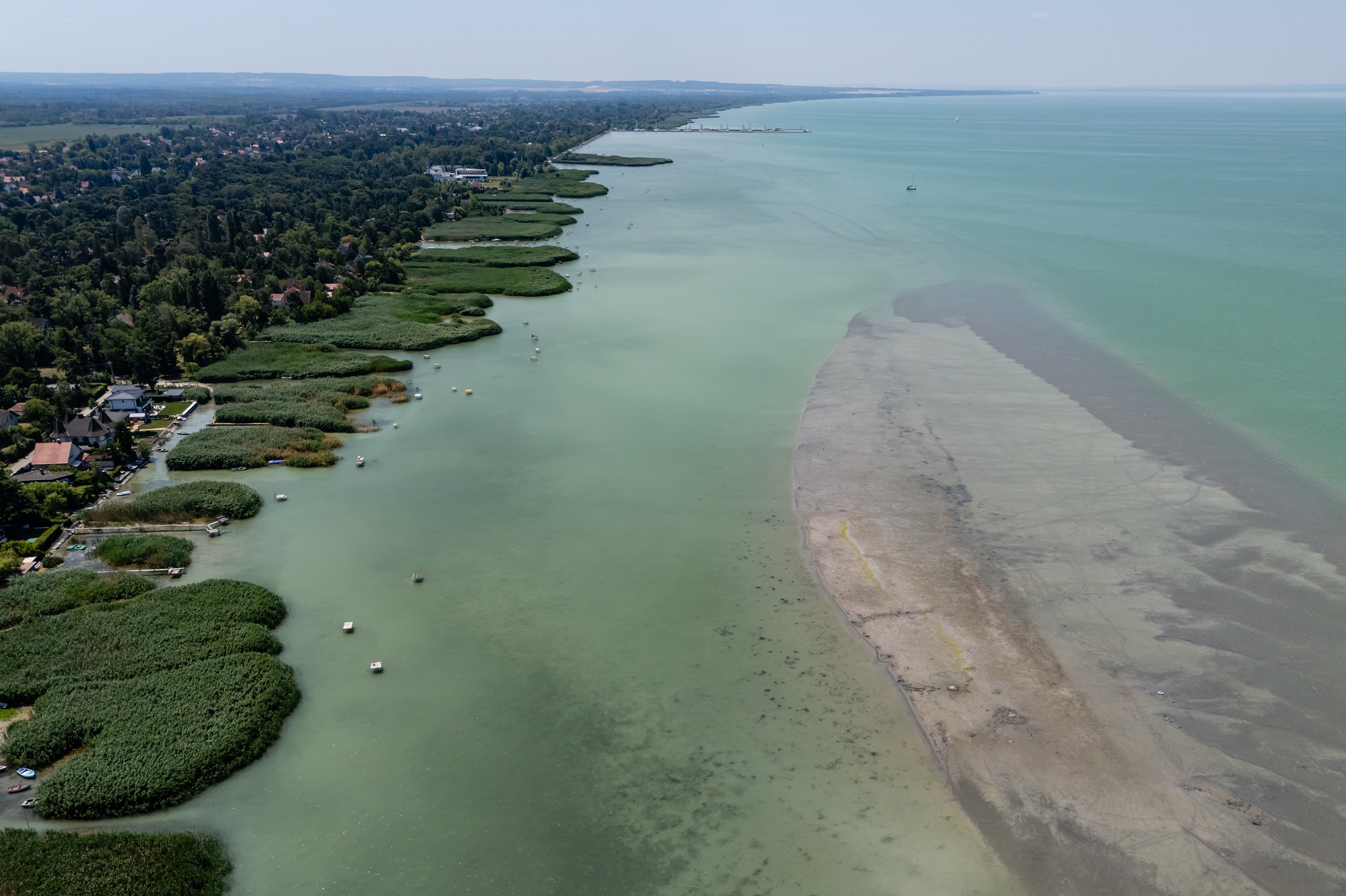 Sosem tapasztalt változást indított el a Balatonban az extrém hőkupola 1