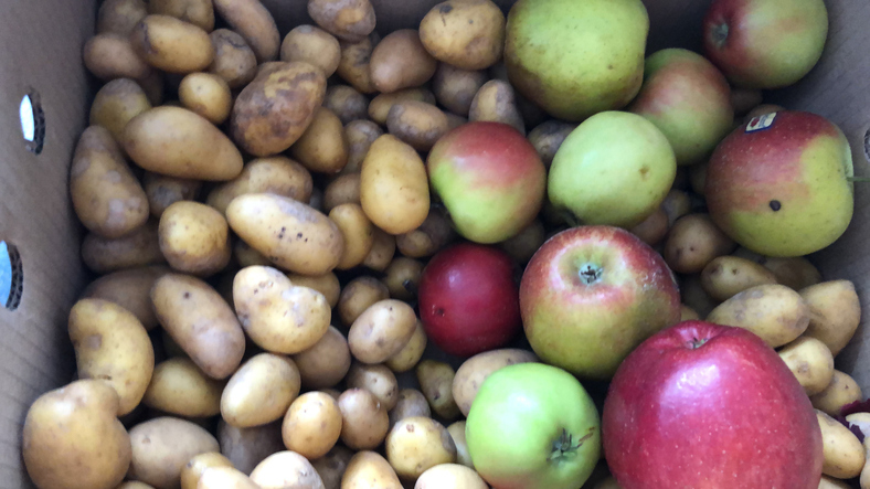 Box filled with small potatoes and green and red apples mixed together in a crate/box light brown background with perforated sides of box visible.