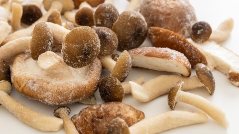 Close-up of dried porcini mushrooms scattered on a white plate with a light dusting of flour.