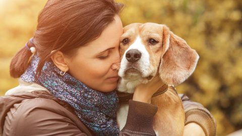Woman in a brown jacket hugs a beagle outdoors amid autumn foliage, both looking calm and affectionate.