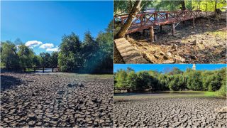 Collage of a sunny park: cracked dry riverbed, a wooden bridge, and lush trees by a riverbank.