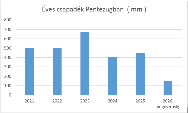 Hidegen hagyták a nyári hőhullámok a hortobágyi vadlovakat 1