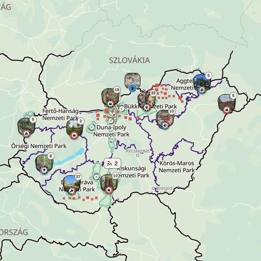 Kéreg: új közösségi kezdeményezés segíti a magyar erdők védelmét 1