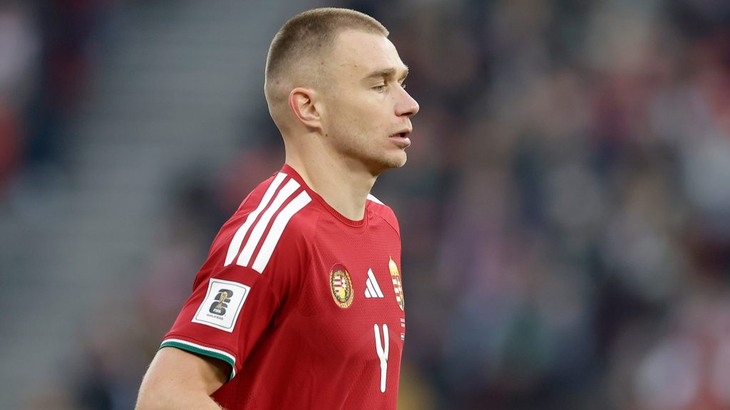 Szalai Attila az írek elleni mérkőzésen.