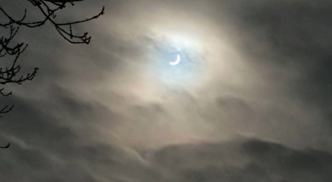 Napfogyatkozás Manchesterben (angliai magyarok, napfogyatkozás, )